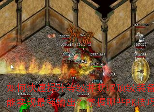 ��ο��������ȼ�����ȡ����װ������������ϻ�����ʵ����ǿ�����������ЩPK�����ܳư�ȫ����