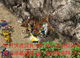 ��ο��������ȼ�����ȡ����װ������������ϻ�����ʵ����ǿ�����������ЩPK�����ܳư�ȫ����