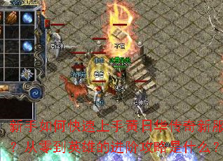 ������ο������ֻ��ջ������·������㵽Ӣ�۵Ľ��׹�����ʲô��