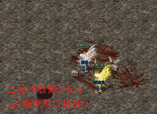 ��Ԫ����Ұ��boss�����������ս��