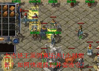 �Ϲ�����������e��1Сʱˢ�£���ο����ҵ�����������