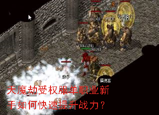 ��ħ����Ȩ����ְҵ������ο�������ս����