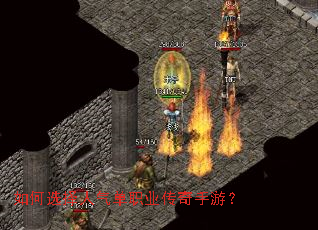 ���ѡ��������ְҵ�������Σ�