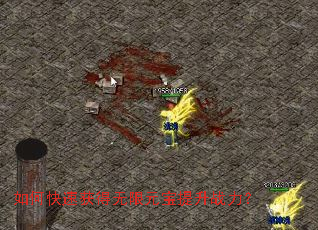 ��ο��ٻ������Ԫ������ս����