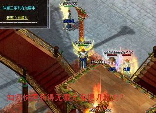 ��ο��ٻ������Ԫ������ս����