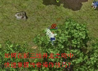 ����������߲���֮���п������մ���������ɣ�