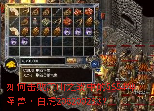 ��λ�����ɽ֮ս�е�5854��ʥ�ޡ��׻�208200253��