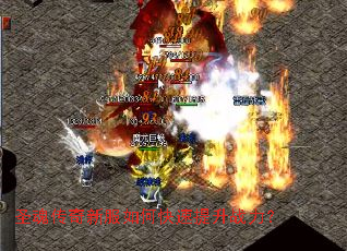 ʥ�괫���·���ο�������ս����