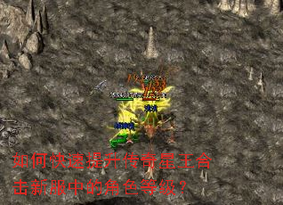 ��ο����������������ϻ��·��еĽ�ɫ�ȼ���