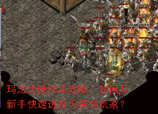 �귨��½���ع��ԣ���δ����ֿ��ٽ���Ϊ������ң�