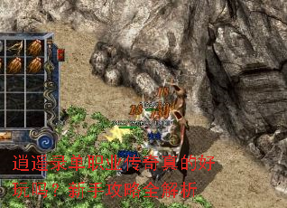 ��ң¼��ְҵ������ĺ��������ֹ���ȫ����