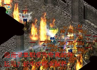 ��ң¼��ְҵ������ĺ��������ֹ���ȫ����