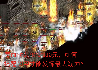 ħѪʱװ����300Ԫ����δ��佣�ײ��ܷ������ս����