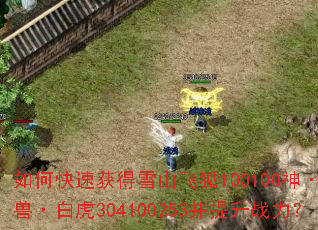 ��ο��ٻ��ѩɽ�ɺ�100100��ʥ�ޡ��׻�304100253������ս����