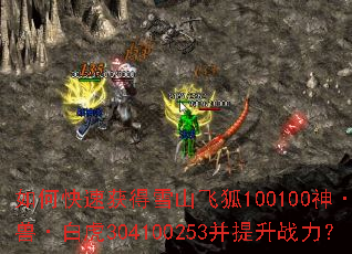 ��ο��ٻ��ѩɽ�ɺ�100100��ʥ�ޡ��׻�304100253������ս����