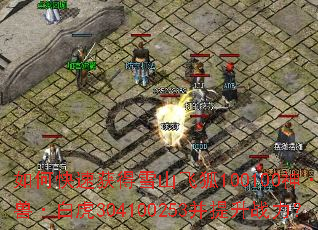 ��ο��ٻ��ѩɽ�ɺ�100100��ʥ�ޡ��׻�304100253������ս����