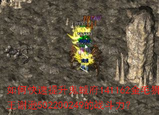 ��ο����������⸮141162��ëʨ��лѷ502200249��ս������