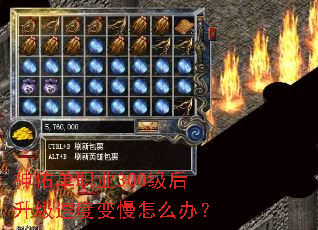 ���ӵ�ְҵ300���������ٶȱ�����ô�죿