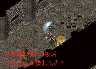 ���ӵ�ְҵ300���������ٶȱ�����ô�죿