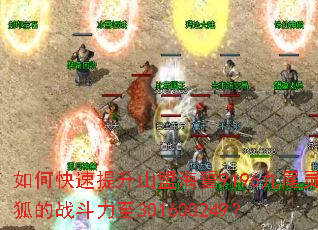 ��ο�������ɽ�˺���9196��β�����ս������301600249��