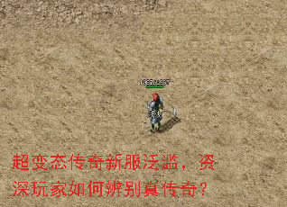 ����̬�����·����ģ����������α���洫�棿