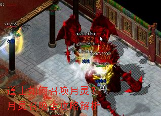 ��ʿ����ٻ����飿�����ٻ�ȫ���Խ���