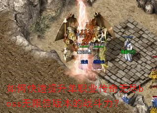 ��ο���������ְҵ�����޾�boss���ޱ��汾��ս������