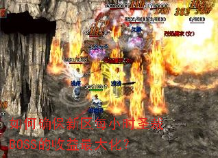 ���ȷ������ÿСʱʥ��BOSS��������󻯣�