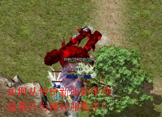 ��δӴ����·����ֿ��ٽ���Ϊ��÷����֣�