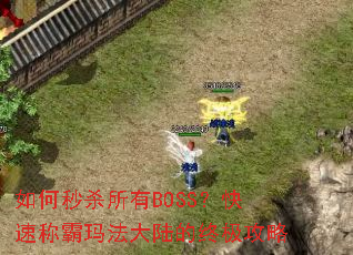 �����ɱ����BOSS�����ٳư��귨��½���ռ�����