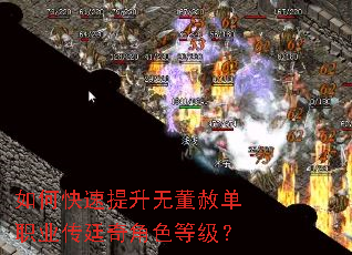 ��ο��������޶��ⵥְҵ��͢���ɫ�ȼ���