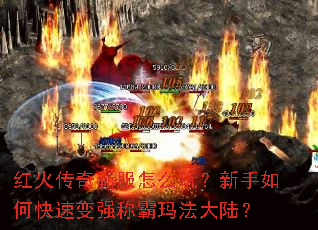 ������·���ô�棿������ο��ٱ�ǿ�ư��귨��½��