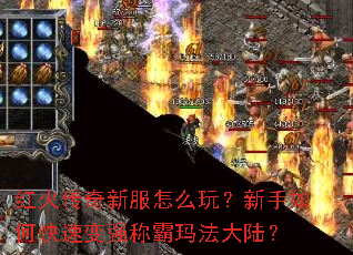 ������·���ô�棿������ο��ٱ�ǿ�ư��귨��½��