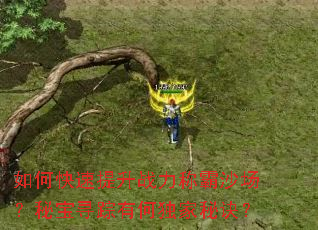 如何快速提升战力称霸沙场?秘宝寻踪有何独家秘诀? 如何快速提升战力称霸沙场?秘宝寻踪有何独家秘诀?