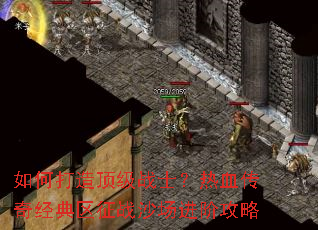 ��δ��춥��սʿ����Ѫ���澭������սɳ�����׹���