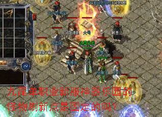 九尾单职业新服神器乐园的怪物刷新点是固定的吗? 九尾单职业新服神器乐园的怪物刷新点是固定的吗?