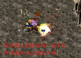 绝世霸主重生攻略?新手如何快速从小白进阶大神? 绝世霸主重生攻略?新手如何快速从小白进阶大神?