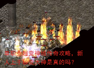 单职业超变神域传奇攻略,新人上手秒变大神是真的吗? 单职业超变神域传奇攻略,新人上手秒变大神是真的吗?