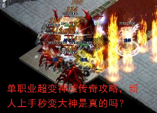 单职业超变神域传奇攻略,新人上手秒变大神是真的吗? 单职业超变神域传奇攻略,新人上手秒变大神是真的吗?