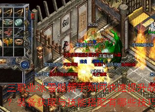 三职业冰雪服新手如何快速提升战力?装备获取与技能搭配有哪些技巧? 三职业冰雪服新手如何快速提升战力?装备获取与技能搭配有哪些技巧?