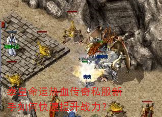拳皇命运热血传奇私服新手如何快速提升战力? 拳皇命运热血传奇私服新手如何快速提升战力?