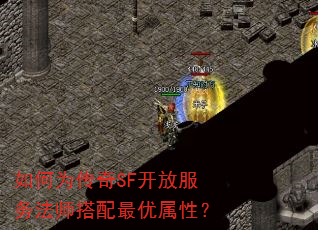 如何为传奇SF开放服务法师搭配最优属性? 如何为传奇SF开放服务法师搭配最优属性?