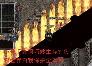 С��������������棿�����������ұ���ȫ����