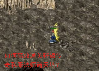 如何高效通关轩辕传奇私服法师通天塔? 如何高效通关轩辕传奇私服法师通天塔?