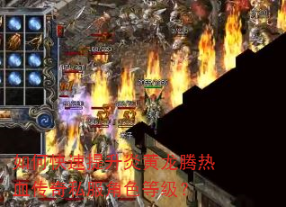 如何快速提升炎黄龙腾热血传奇私服角色等级? 如何快速提升炎黄龙腾热血传奇私服角色等级?