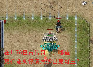��1.76���Ŵ����У���Щ��ָ�������Ϊɳ�Ϳ˰�����