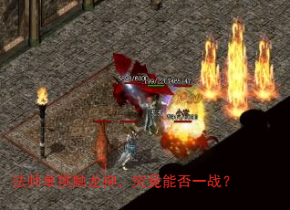 法师单挑触龙神,究竟能否一战? 法师单挑触龙神,究竟能否一战?