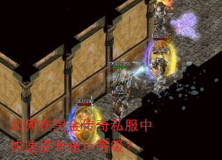 如何在黑金传奇私服中快速提升角色等级? 如何在黑金传奇私服中快速提升角色等级?