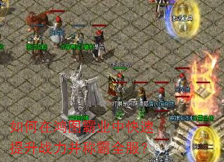 如何在鸿图霸业中快速提升战力并称霸全服? 如何在鸿图霸业中快速提升战力并称霸全服?