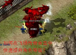 如何在飞扬传奇合击中快速提升角色等级? 如何在飞扬传奇合击中快速提升角色等级?